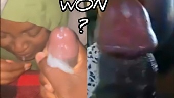 Ostateczna Prezentacja Seksu Oralnego Na Świeżym Powietrzu - Kto Odebrał Nagrodę?
